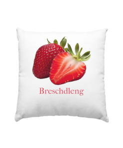 Breschdleng - Kissen 40x40cm